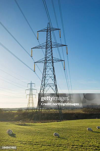 postes de electricidade em famland - torre-de-alta-tensão imagens e fotografias de stock