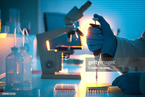 lab experiment - microplate stock pictures, royalty-free photos & images