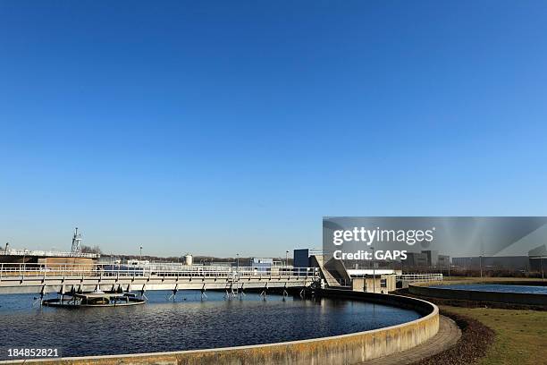 water purification plan on sunny day - water plant stock pictures, royalty-free photos & images