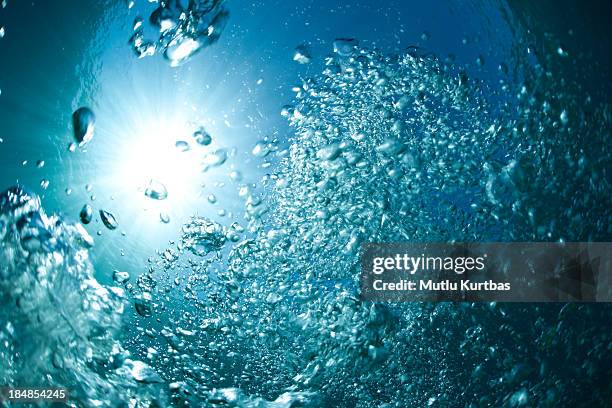 bubbles - undersea water stock pictures, royalty-free photos & images