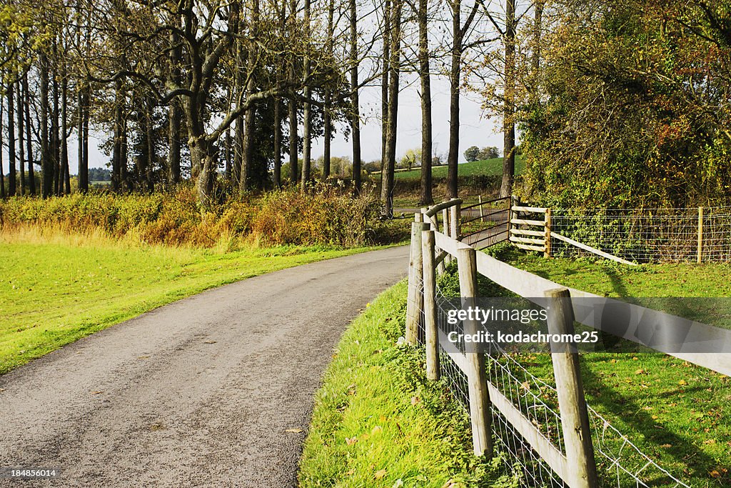 Country lane