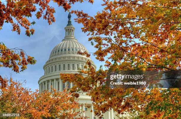 capitolio de washington dc, en el otoño - capitol-hill fotografías e imágenes de stock