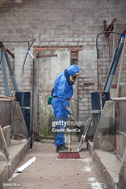 en amiante suppression - asbestos removal photos et images de collection