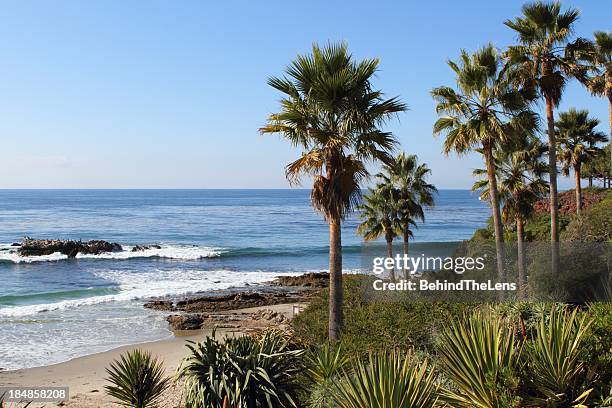 california beach - laguna beach california stock pictures, royalty-free photos & images