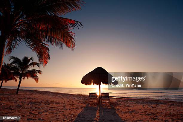 tropischen strand bei sonnenuntergang in vacation resort hotel, cancun, mexiko - strohgedeckte strandhütte stock-fotos und bilder