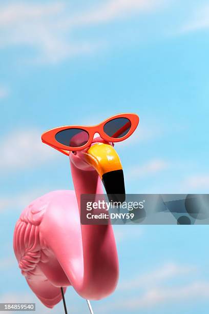 pink flamingo mit sonnenbrille gegen blauen himmel - flamingos stock-fotos und bilder