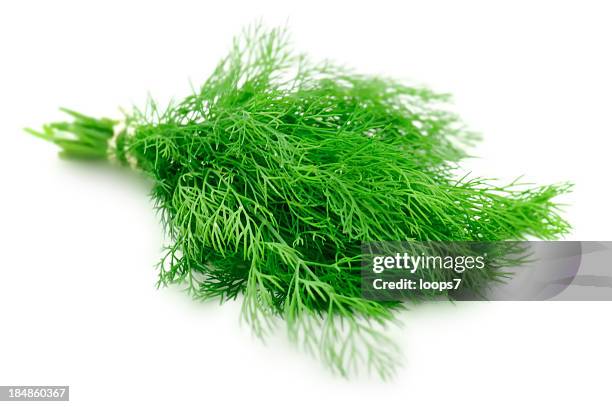dilll - dill stock pictures, royalty-free photos & images