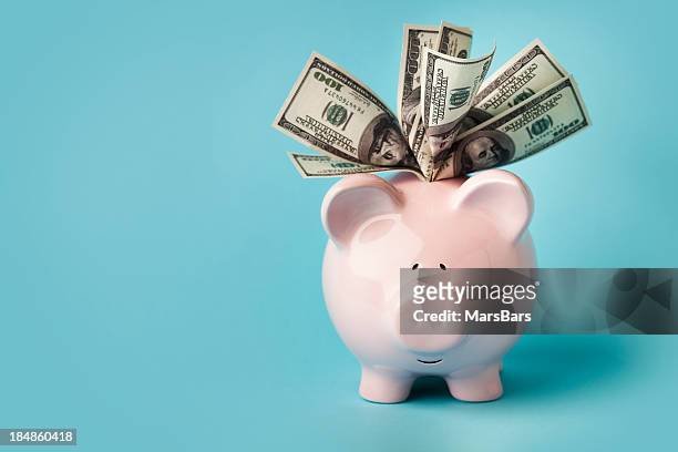 pink piggybank stuffed with dollar bills - abundance stock pictures, royalty-free photos & images