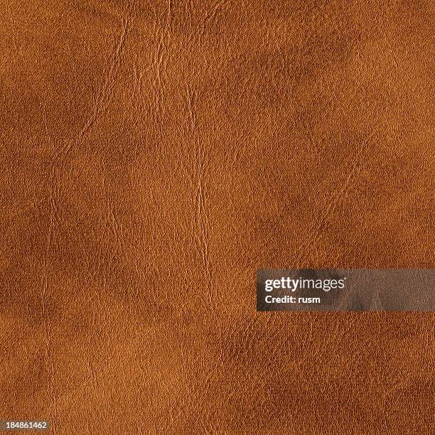 brown leather texture background - animal skin stockfoto's en -beelden