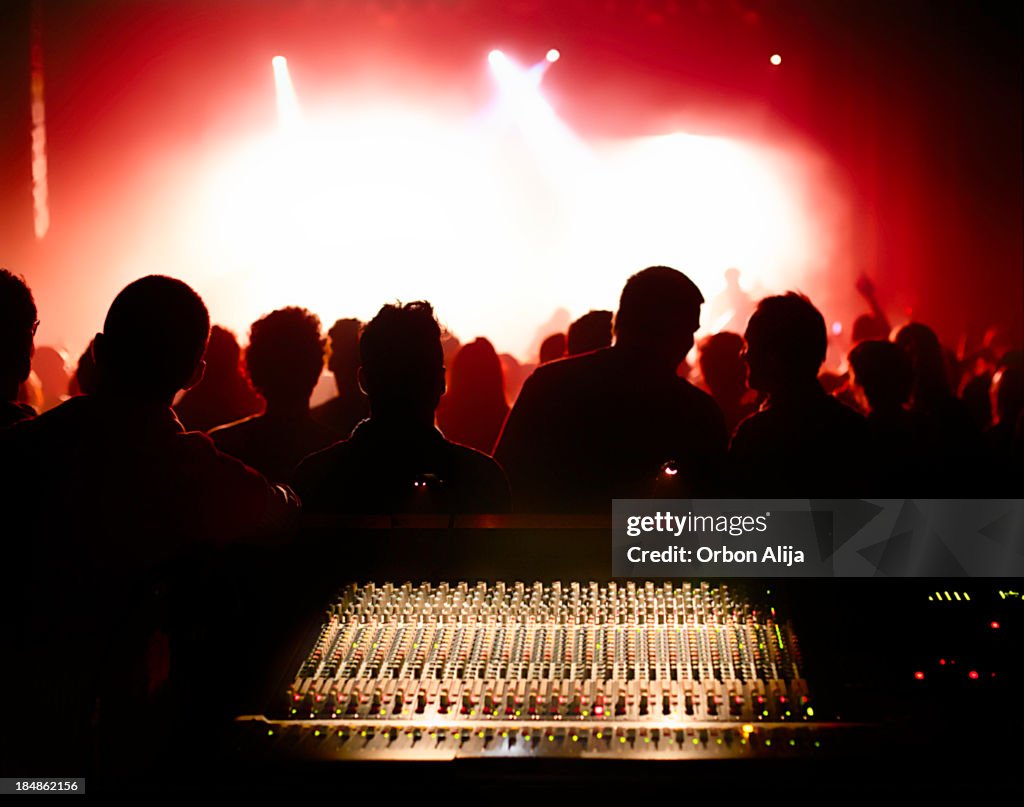 Concert Crowd