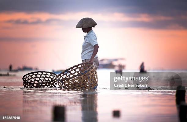 seaweed farmer - nusa dua stock pictures, royalty-free photos & images