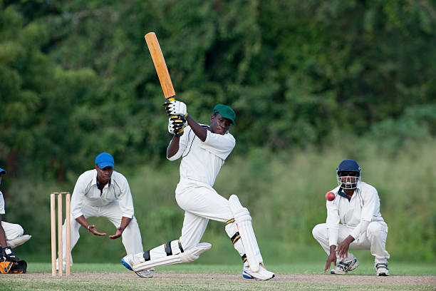 cricket - cricket game stock pictures, royalty-free photos & images