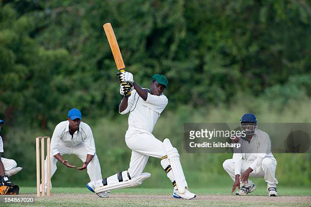 cricket - cricket stock pictures, royalty-free photos & images