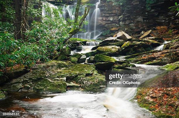 elakala falls, west virginia - monongahela national forest stock-fotos und bilder