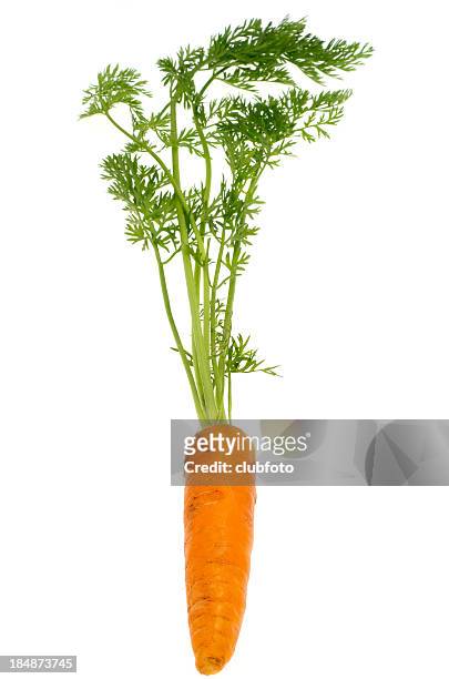 fresh carrot - carrot isolated stock pictures, royalty-free photos & images