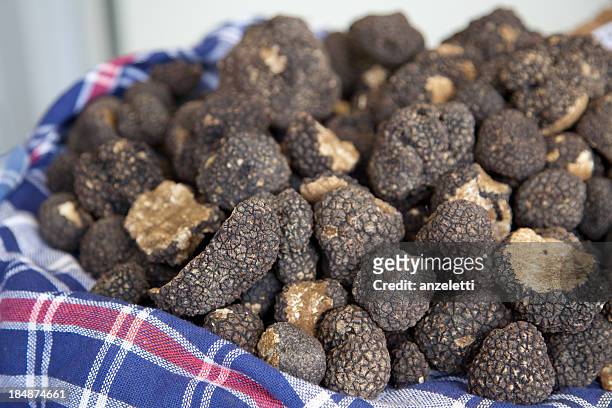black truffles - truffles stock pictures, royalty-free photos & images