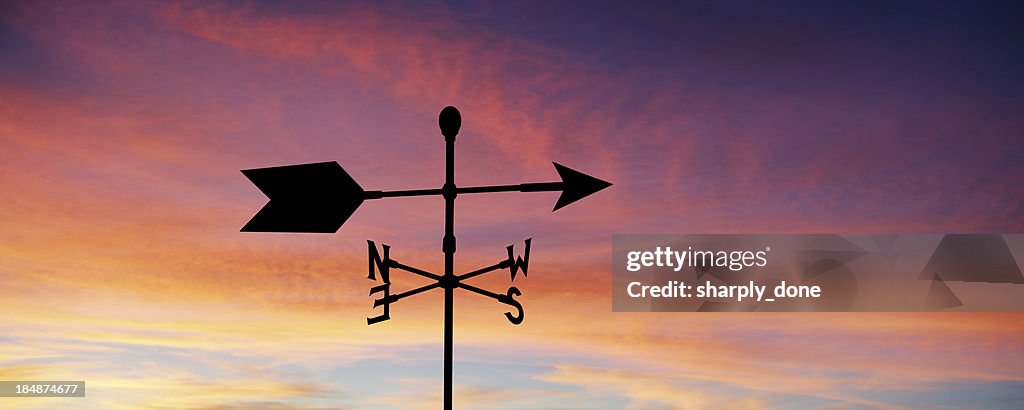 XXL wind vane silhouette