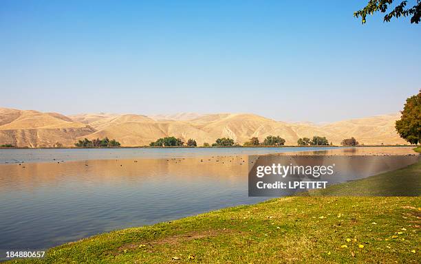 lake ming in bakersfield on a warm sunny day - bakersfield stock pictures, royalty-free photos & images