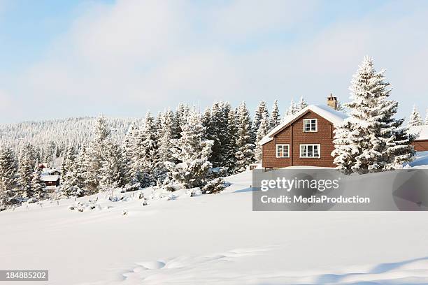 log cabin in the woods - mountain snow stockfoto's en -beelden