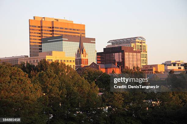 columbia skyline - columbia south carolina stock pictures, royalty-free photos & images