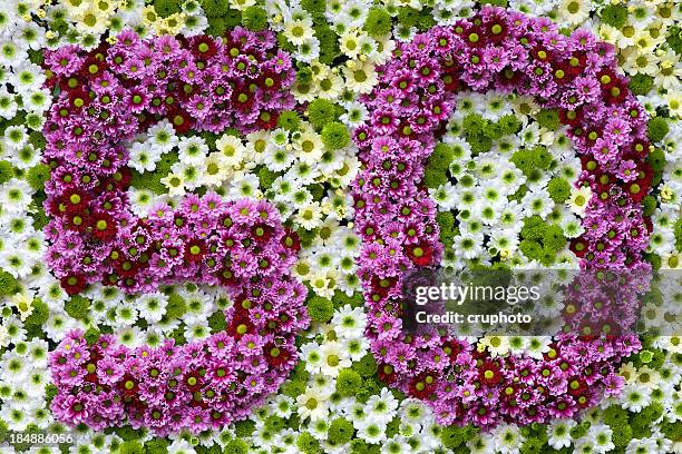 lila und weiße blumen in form von nummer 50 - zahl 50 stock-fotos und bilder