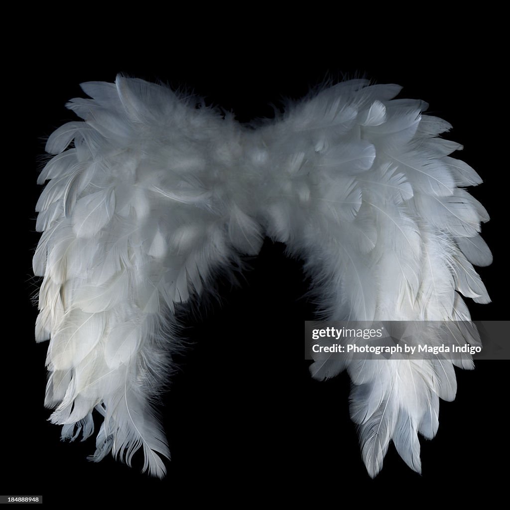 BIG ANGEL WINGS