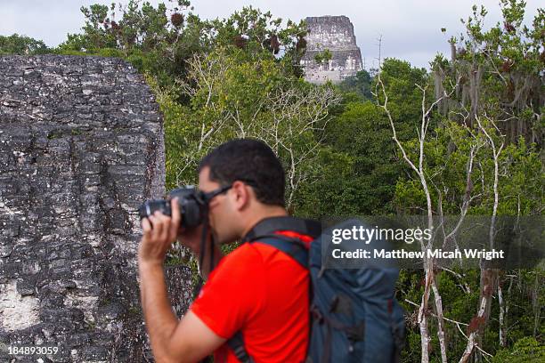 exploring the mayan ruins of the tikal temples. - tikal stock pictures, royalty-free photos & images