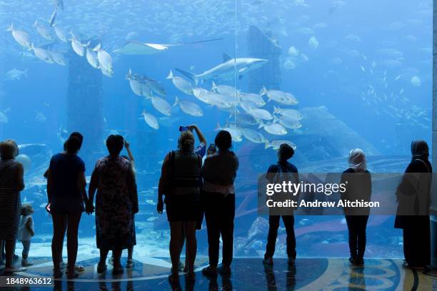 Tourists enjoying the Lost Chambers aquarium inside the Atlantis hotel on the Palm in Dubai, United Arab Emirates on the 26th of October 2023. The...