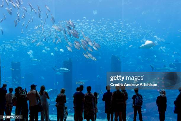 Tourists enjoying the Lost Chambers aquarium inside the Atlantis hotel on the Palm in Dubai, United Arab Emirates on the 26th of October 2023. The...