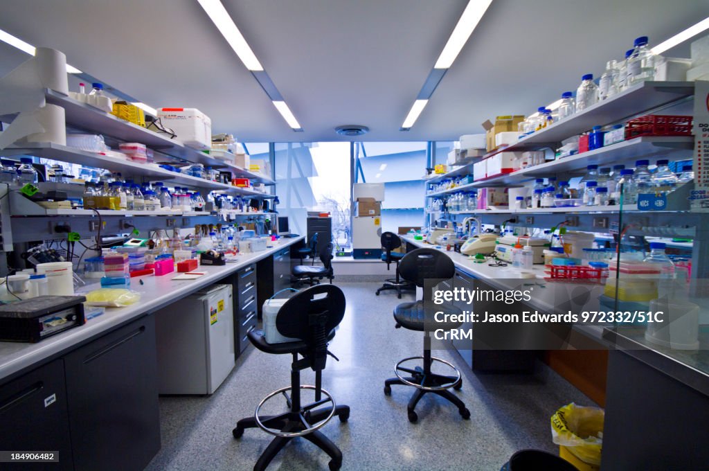 Science Lab Workspace Typical Laboratory Workspace For A Biochemist And Molecular Biologist ...