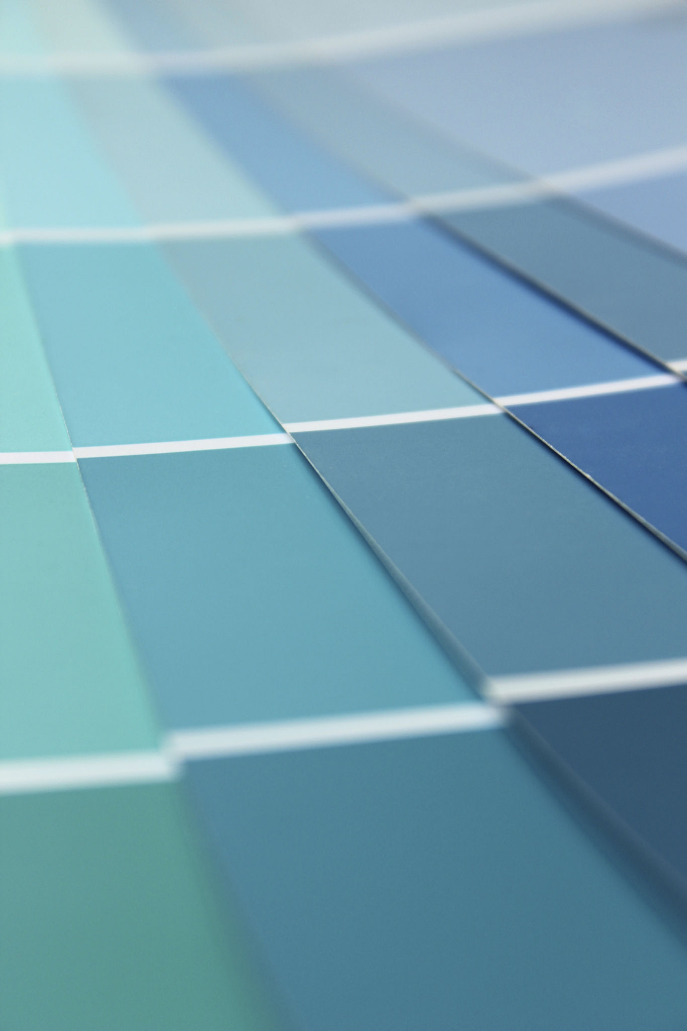 light color palette