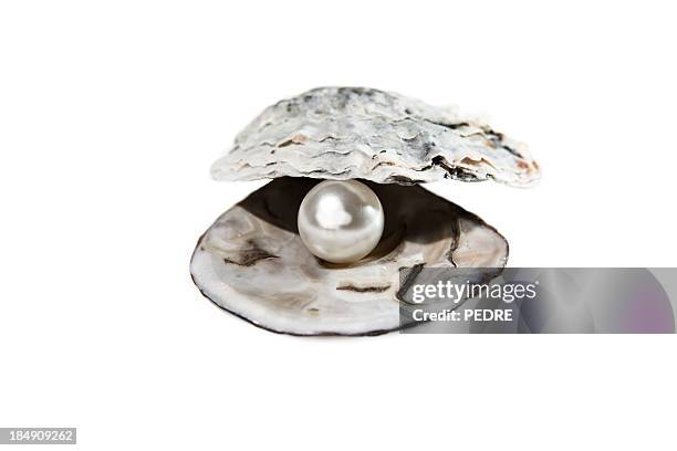 pearl - oyster pearl fotografías e imágenes de stock