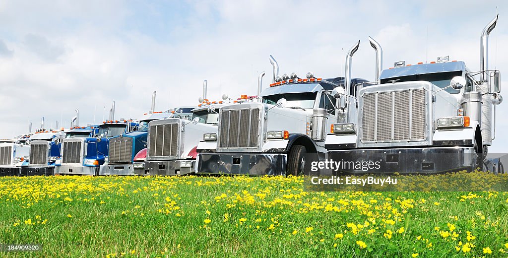 Row of 7 tractor trailers parked in front of a grassy field