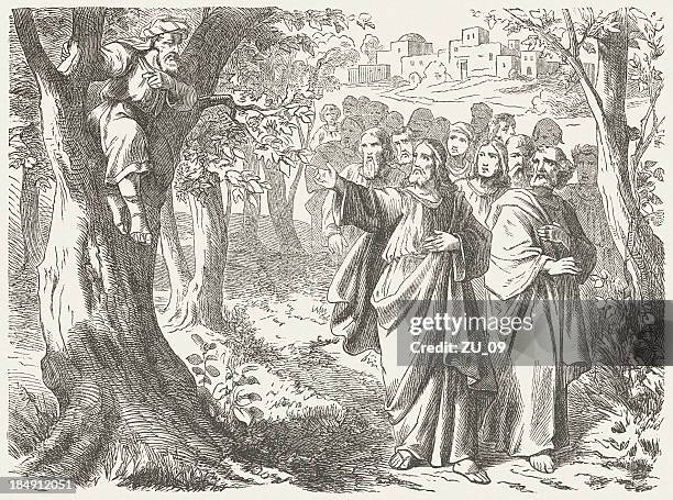 jesus and zacchaeus (luke 19, 5) - following jesus stock illustrations