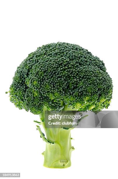 single brocoli floret - broccoli white background stock-fotos und bilder