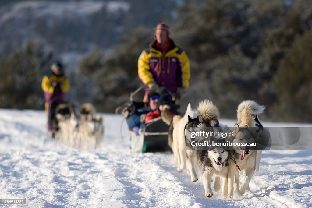 Pessoas em trenós puxados por cães nas Montanhas de inverno perto