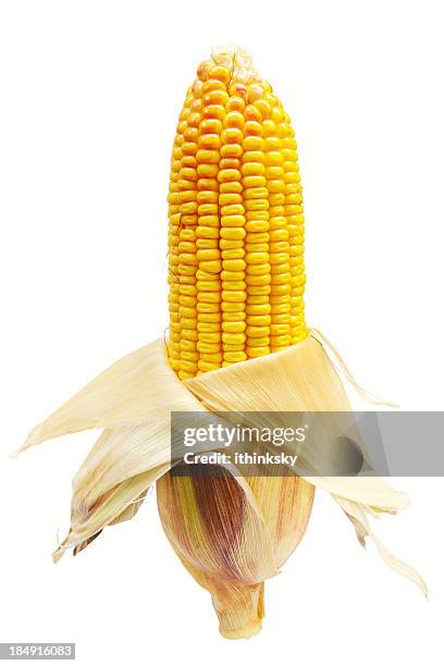 corn - husk stockfoto's en -beelden