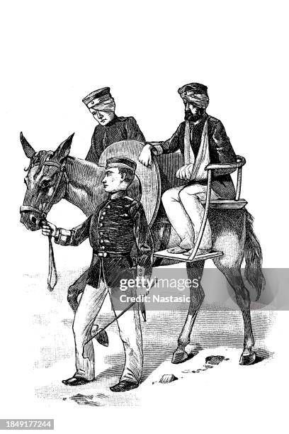 mule with two wounded men - wounded stock illustrations