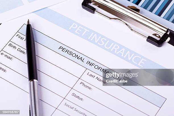 pet insurance - pet insurance stock pictures, royalty-free photos & images