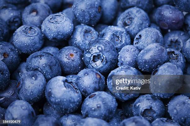deliciosos arándanos - blueberries fruit fotografías e imágenes de stock