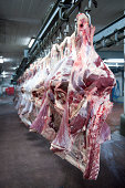 Cow Carcasses