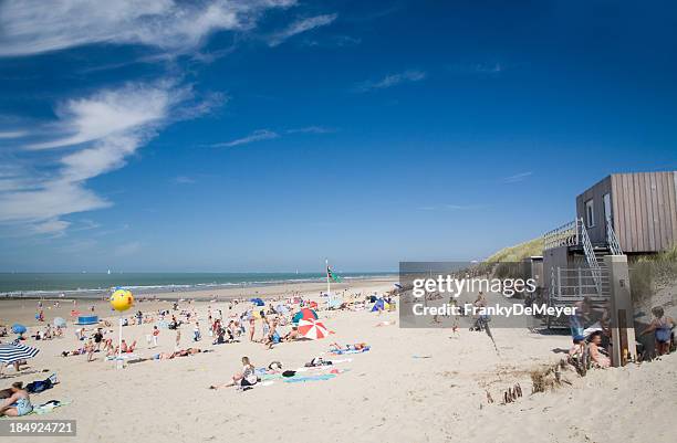 summer beach scene - belgië stockfoto's en -beelden