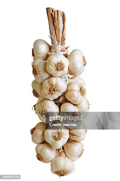 garlic - string stock pictures, royalty-free photos & images