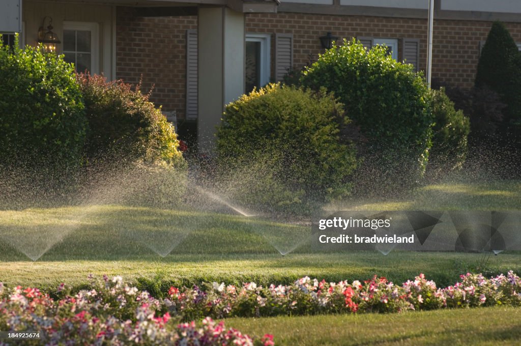 Sprinklers & Flowers