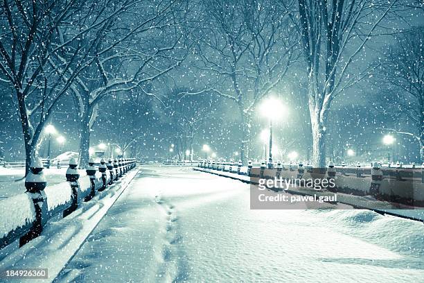 central park bei nacht während schnee sturm - central park winter stock-fotos und bilder