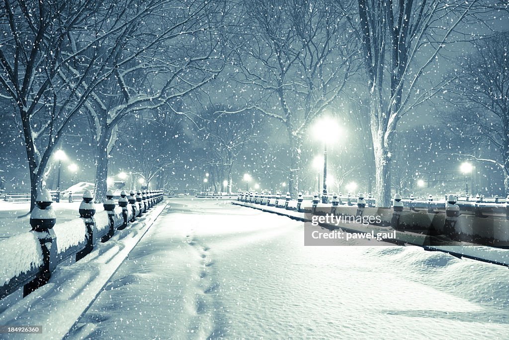 Central park by night during snow storm