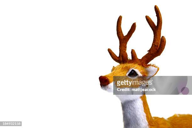 1,151 Rudolph The Red Nosed Reindeer Photos and Premium High Res Pictures -  Getty Images