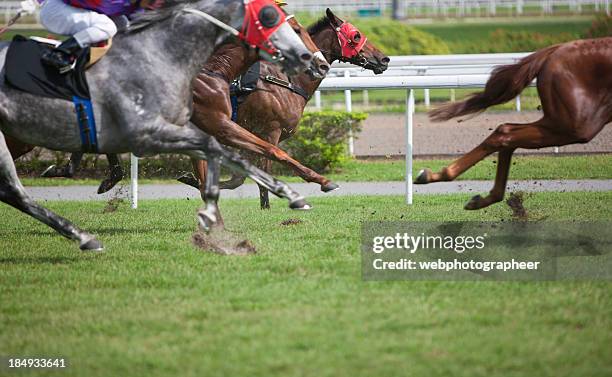 horse race - horse race stockfoto's en -beelden