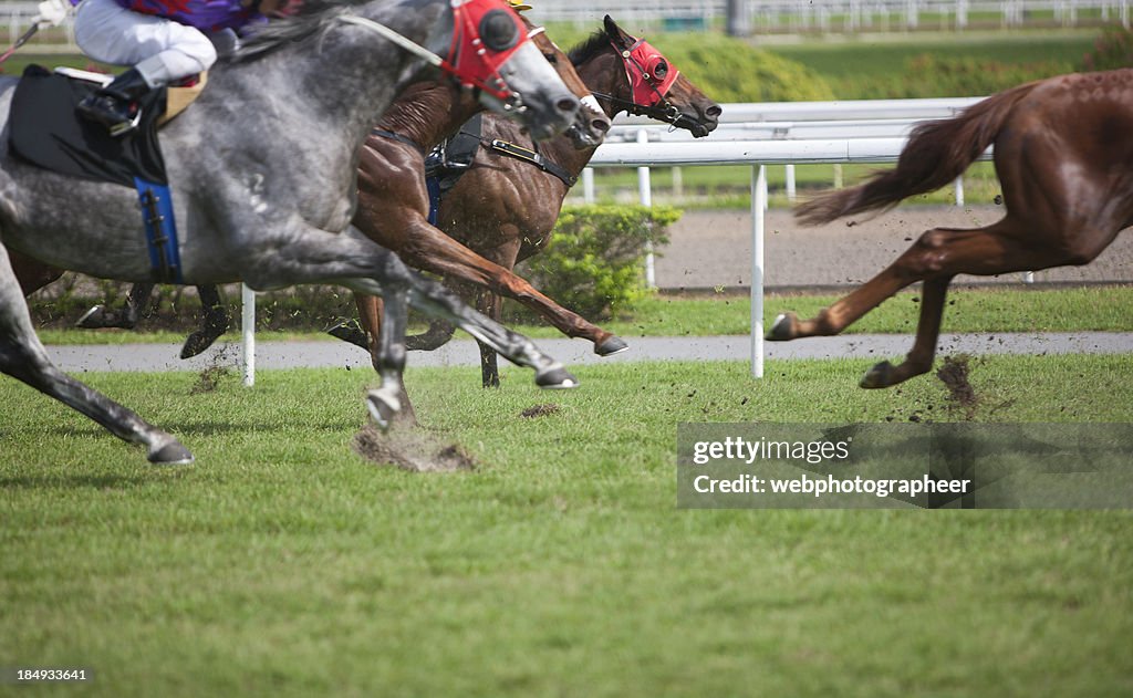 Horse race