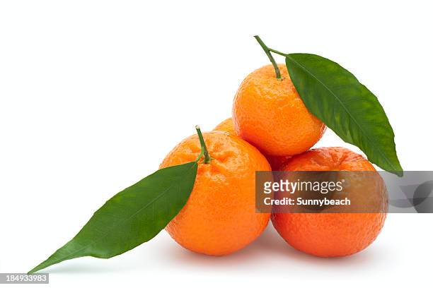 frische mandarinen - mandarine stock-fotos und bilder